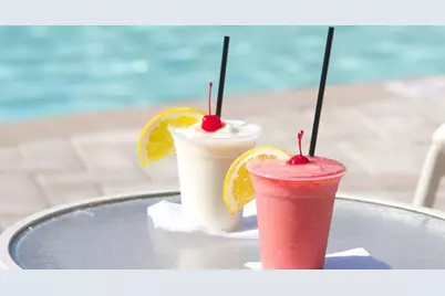 1602 Sandhill Court, Palm Harbor, FL 34684 - Photo 15