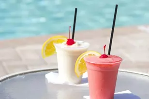 1602 Sandhill Ct, Palm Harbor, FL 34684 - Photo 15