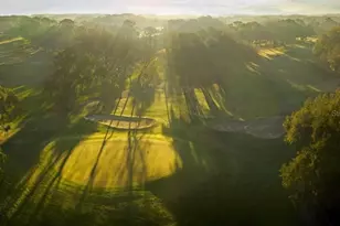 1577 Sandhill Ct, Palm Harbor, FL 34684 - Photo 5