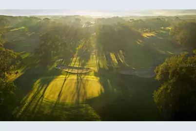 1581 Sandhill Court, Palm Harbor, FL 34684 - Photo 7