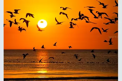 331 Bobby Jones Road #331, Sarasota, FL 34232 - Photo 53