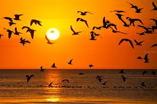 331 Bobby Jones Rd, Sarasota, FL 34232 - Photo 53