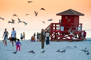 331 Bobby Jones Rd, Sarasota, FL 34232 - Photo 51