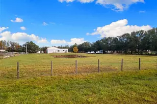 41155 Parks Rd, Myakka City, FL 34251 - Photo 37