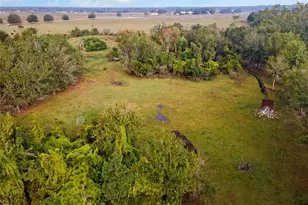 41155 Parks Rd, Myakka City, FL 34251 - Photo 39