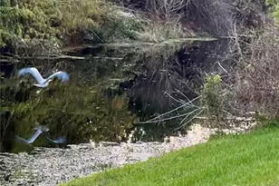 7332 Brandywine Dr, Englewood, FL 34224 - Photo 39