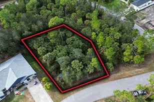 Felix Ave, North Port, FL 34288 - Photo 1