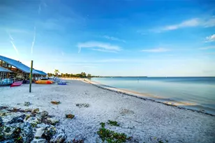 907 Bahia Del Sol Dr, Ruskin, FL 33570 - Photo 43