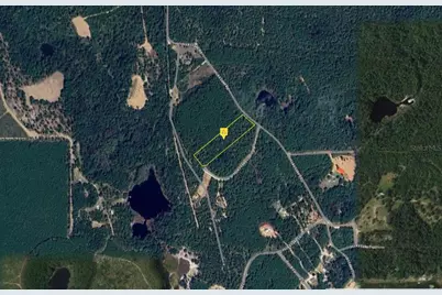 3700 Hicks Lake Road, Vernon, FL 32462 - Photo 3