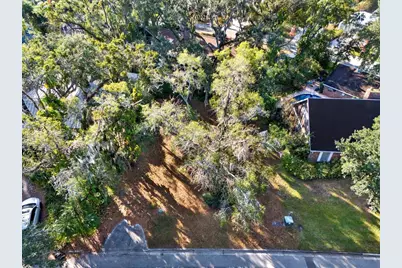 1113 N Riverhills Drive, Temple Terrace, FL 33617 - Photo 3