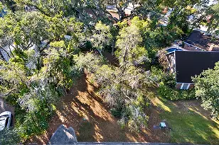 1113 N Riverhills Dr, Temple Terrace, FL 33617 - Photo 3