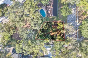 1113 N Riverhills Dr, Temple Terrace, FL 33617 - Photo 11