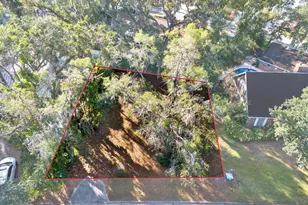 1113 N Riverhills Dr, Temple Terrace, FL 33617 - Photo 5