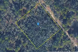 7200 Southeast Ave, Webster, FL 33597 - Photo 1