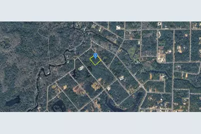 7200 Southeast Avenue, Webster, FL 33597 - Photo 3