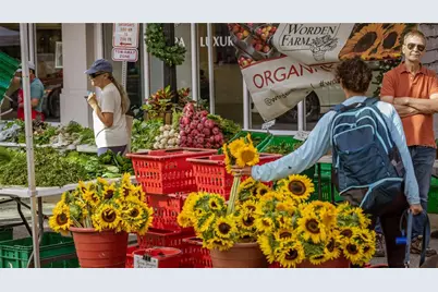 975 Whitakers Lane, Sarasota, FL 34236 - Photo 57