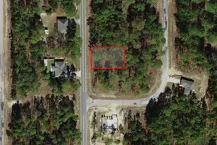 7749 N Santos Dr, Citrus Springs, FL 34434 - Photo 1