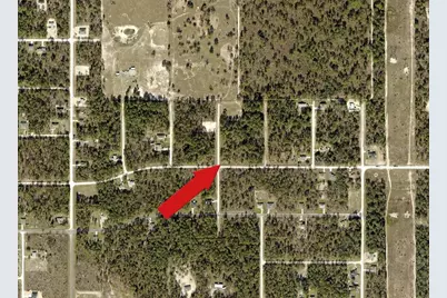 Force Road, Weeki Wachee, FL 34614 - Photo 3