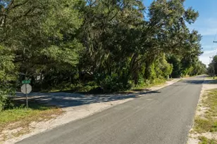 0 NE 164th Lots 53 54 55 Ln, Citra, FL 32113 - Photo 1