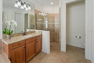 16717 Bwana Pl, Lakewood Ranch, FL 34211 - Photo 55