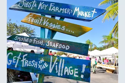 3939 Higel Avenue, Sarasota, FL 34242 - Photo 67