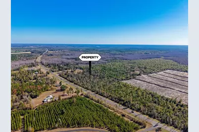 Hwy 90, Marianna, FL 32446 - Photo 21