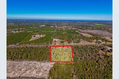 Hwy 90, Marianna, FL 32446 - Photo 3
