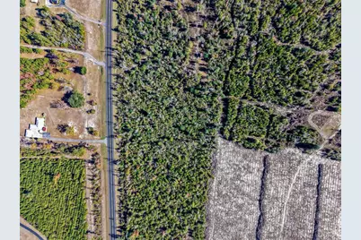 Hwy 90, Marianna, FL 32446 - Photo 7