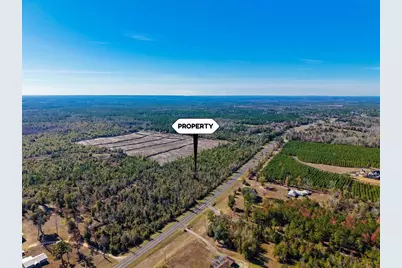 Hwy 90, Marianna, FL 32446 - Photo 19