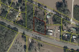 13449 S County Road 10A, Wellborn, FL 32094 - Photo 1