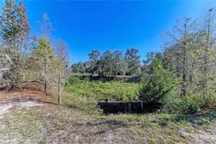 7205 Wauchula Rd, Myakka City, FL 34251 - Photo 39