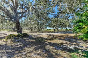 7205 Wauchula Rd, Myakka City, FL 34251 - Photo 5