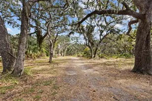 4848 Camphor Ave, Sarasota, FL 34231 - Photo 35