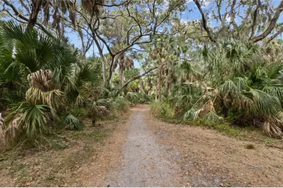 4848 Camphor Avenue, Sarasota, FL 34231 - Photo 41