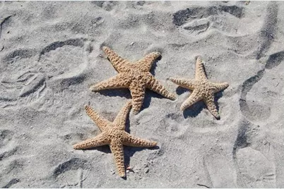 545 Sanctuary Drive #B506, Longboat Key, FL 34228 - Photo 49