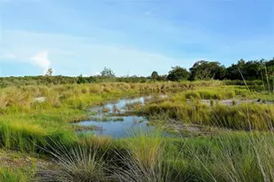 388 Aruba Cir, Bradenton, FL 34209 - Photo 87