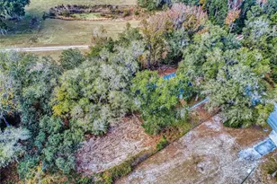 4300 NE 175th Street Rd, Citra, FL 32113 - Photo 43