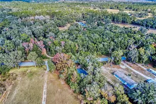 4300 NE 175th Street Rd, Citra, FL 32113 - Photo 43