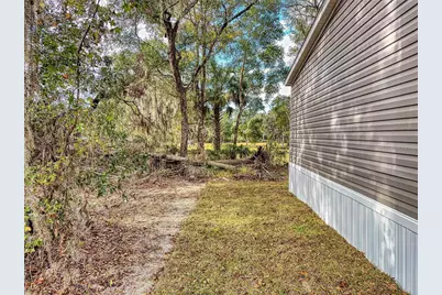 4300 NE 175th Street Road, Citra, FL 32113 - Photo 37