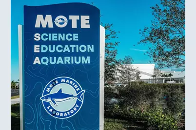 5510 Chanteclaire #46, Sarasota, FL 34235 - Photo 89