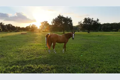 45855 Clay Gully Road, Myakka City, FL 34251 - Photo 5