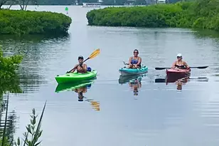 1697 Brookhouse Cir, Sarasota, FL 34231 - Photo 37