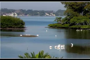 1697 Brookhouse Cir, Sarasota, FL 34231 - Photo 39