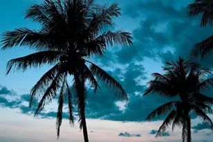 1087 Lake House Cir, Sarasota, FL 34242 - Photo 41