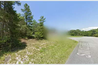 Sw 29th Circle, Ocala, FL 34473 - Photo 3