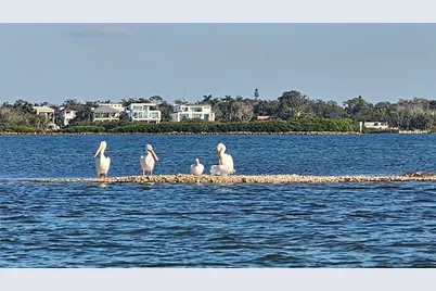 1013 W Peppertree Drive #115, Sarasota, FL 34242 - Photo 25