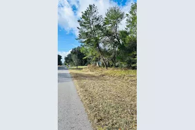 Se 141st Avenue, Ocklawaha, FL 32179 - Photo 3