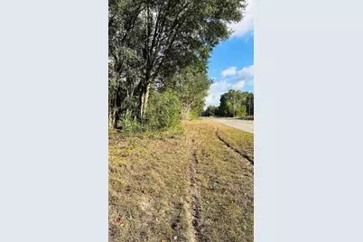 Se 141st Avenue, Ocklawaha, FL 32179 - Photo 1