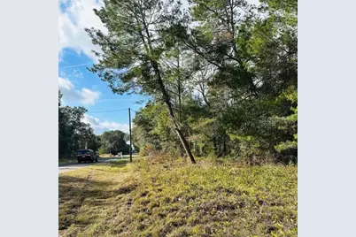 Se 141st Avenue, Ocklawaha, FL 32179 - Photo 5