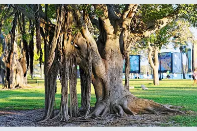 835 S Osprey Avenue #201, Sarasota, FL 34236 - Photo 43